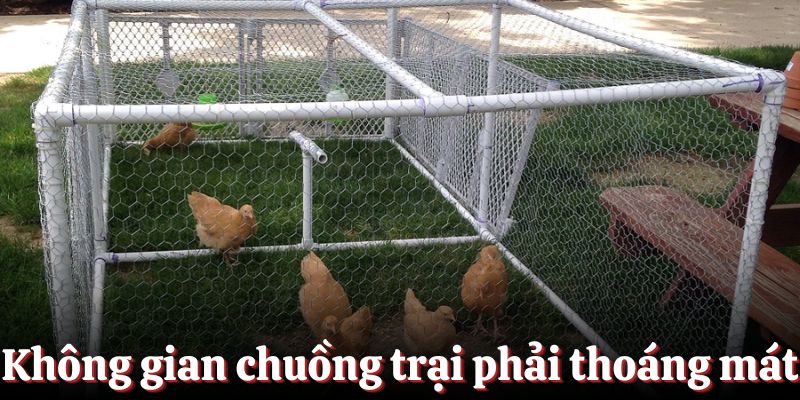 Không gian chuồng trại phải đảm bảo thoáng mát