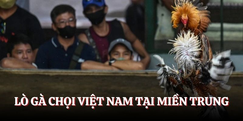 Các lò gà chọi tại miền Nam