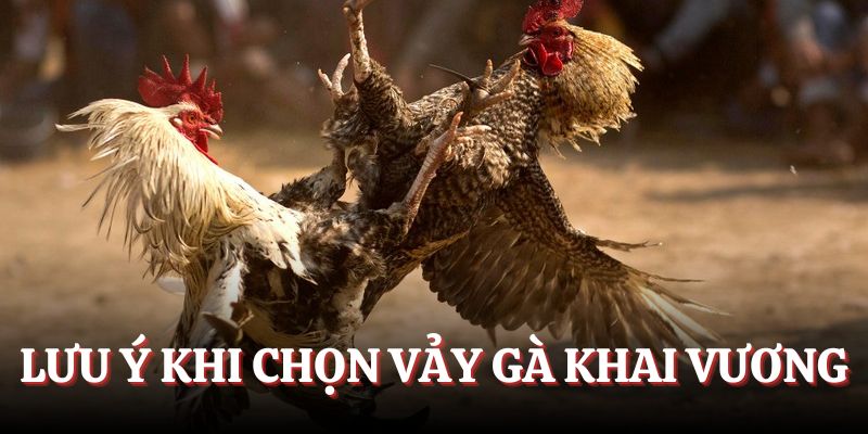 Một số lưu ý khi chọn vảy gà Khai Vương
