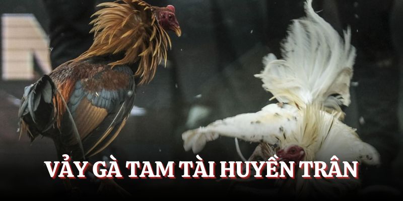 Vảy tam tài huyền trân